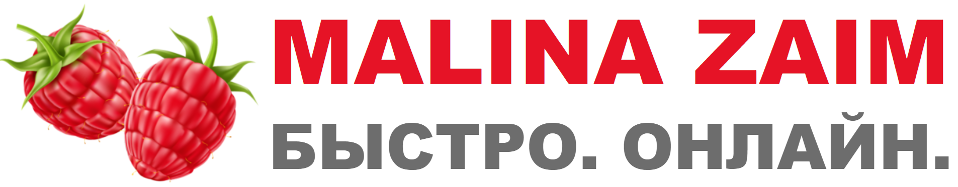 Malina Zaim