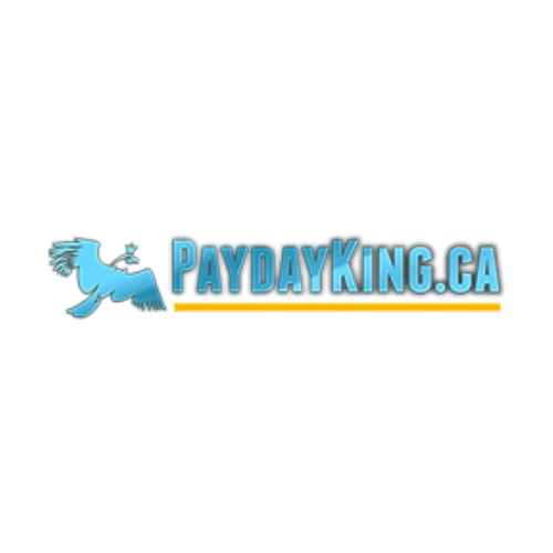 PaydayKing